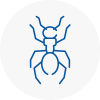 Ant Removals In Minster