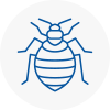 Bed Bug Extermination In Minster