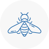 Bee Nest Removal Minster