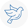 Bird Prevention Minster