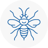 Minster Hornet Nest Removals