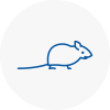 Mice Exterminators In Minster