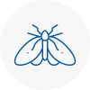 Moth Control Specialists In Minster