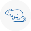 Rat Control Minster