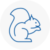 Minster Rodent Removals