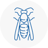 Minster Wasp Nest Removal